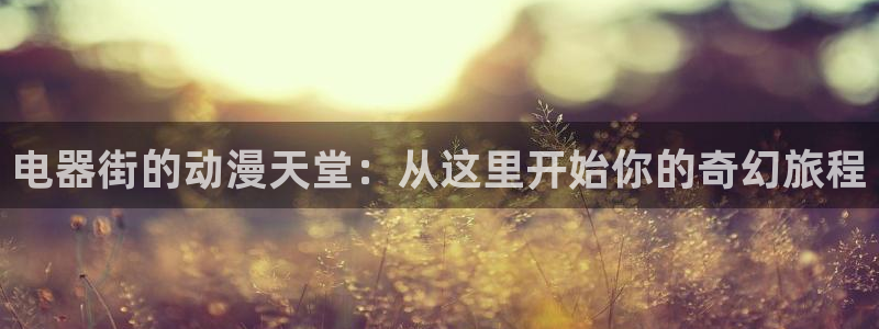 禁漫天堂1.6：电器街的动漫天堂：从这里开始你的奇幻旅程