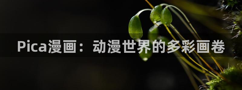禁漫天堂免费看：Pica漫画：动漫世界的多彩画卷