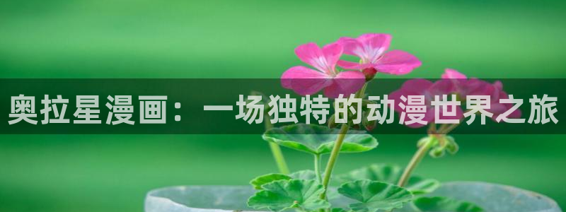 禁漫天堂在线免费看：奥拉星漫画：一场独特的动漫世界之旅