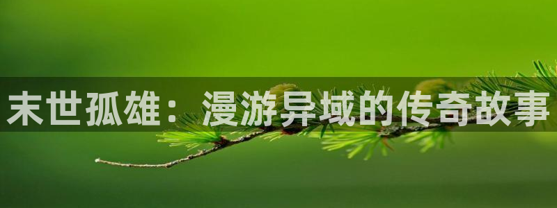 禁漫天堂网址版：末世孤雄：漫游异域的传奇故事